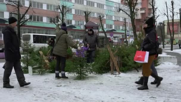 Αγορά παζάρι της πόλης για την πώληση των χριστουγεννιάτικων δέντρων για το νέο έτος σε BOBRUISK, Λευκορωσία 12.30.18. Οι άνθρωποι κοιτάζουν, επιλέγουν και αγοράζουν ένα φυσικό έλατο στο κέντρο της πόλης. Διακοπές και γιορτές — Αρχείο Βίντεο