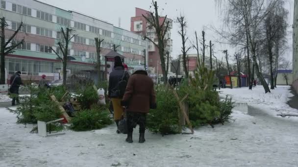 Mercado de bazar de cidade para venda de árvores de Natal para o Ano Novo em BOBRUISK, BELARUS 12.30.18. As pessoas olham, escolhem e compram um abeto vivo natural no centro da cidade. Feriados e celebrações — Vídeo de Stock