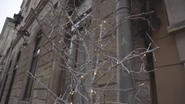 Arbre de Noël décoré dans la rue de la ville. Décoration de vacances en ville, fond — Video