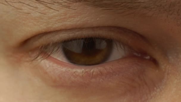 Macro shot of male caucasian brown one eye and eyelids. Focus on eyelashes. Body parts of white european russian man. Eye blinks and winks. Looking directly into the camera lens. Normal view blepharon — Stock Video