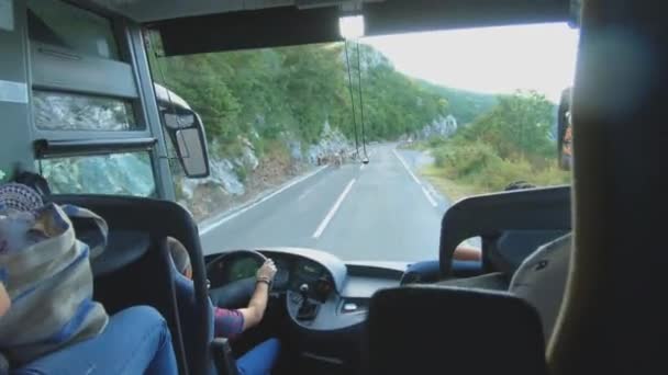 O rebanho de cabras montesas está na estrada serpentina. Vista através do pára-brisas do ônibus turístico durante a viagem de excursão. Motorista abranda e anda em torno de animais na estrada. Viajar. 60 fps 4K. Montenegro Budva — Vídeo de Stock