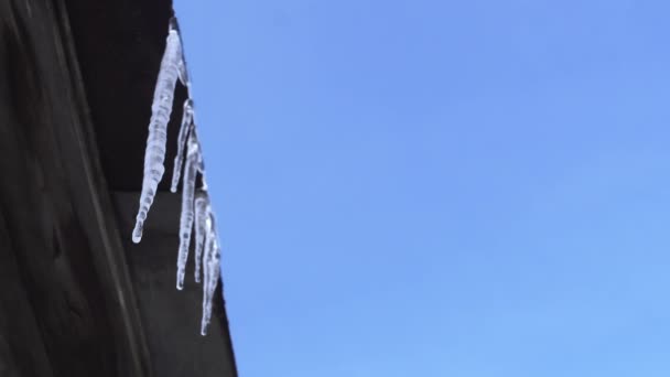 Visící ledové rampouchy se rozpouští na střeše. Konec zimy a začátek jarní koncepce. Kapky kapek kape. Teplé počasí. Změna ročních období. Pohled dolů na oblohu. Kopírovat mezeru, místo pro text — Stock video
