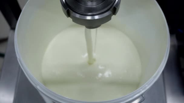 Joghurt aus Milch herstellen und in Eimer füllen. Milchprodukte aus nächster Nähe herstellen. Lebensmittelindustrie, Süßwaren, Bifidobakterien — Stockvideo