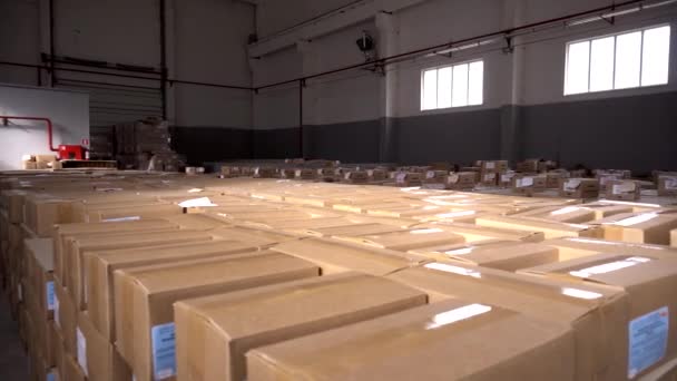 Parcels and parcels in cardboard boxes at the customs control warehouse. The concept of excess prices for parcels from abroad, the limit on parcels, postal items, business — Stock Video