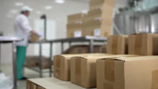 Kisten auf einer Palette mit fertigen Produkten aus Sonnenblumenöl auf dem Hintergrund einer Produktionswerkstatt mit Ausrüstung, Kopierraum, Geschäft, Arbeiter — Stockvideo