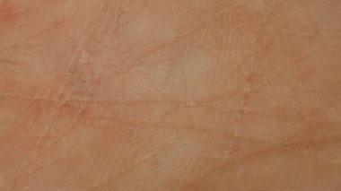 Erkek avucunun içindeki makro deri. Yakın yüzey. Beyaz, beyaz, beyaz bir adamın vücut parçaları. Dermatoloji ve cilt bakımı. Normal ve sağlıklı üst görünüm