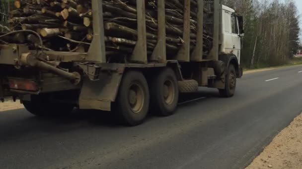 La madera cargada que lleva el camión del buque con los árboles cortados está conduciendo en la carretera del país. Industria maderera. Explotación forestal y transporte de bosques. Vehículo de carga ruso viaja desde aserradero . — Vídeos de Stock