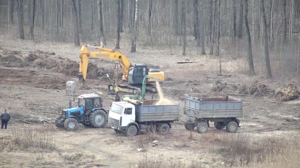 Ein Traktor mit einem speziellen Holzbrecher zerkleinert Bäume zu Hackschnitzeln. Verladung von Hackschnitzeln in einen LKW-Aufbau, Industrie, Maschine — Stockvideo