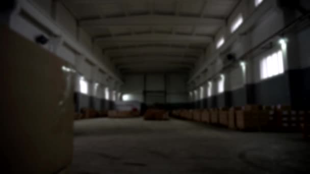 Turning on the lighting in the warehouse with finished products. Spotlight and energy saving concept, blurry, background, diode floodlights — Stock Video