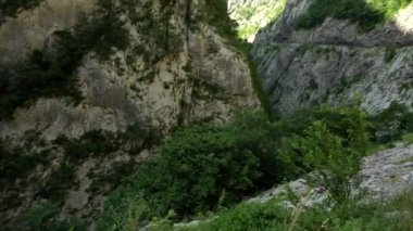 Gökyüzüne karşı yeşillikle kaplanmış kayalık bir dağla kaplı geniş bir vadi. Güzel doğa, manzara.