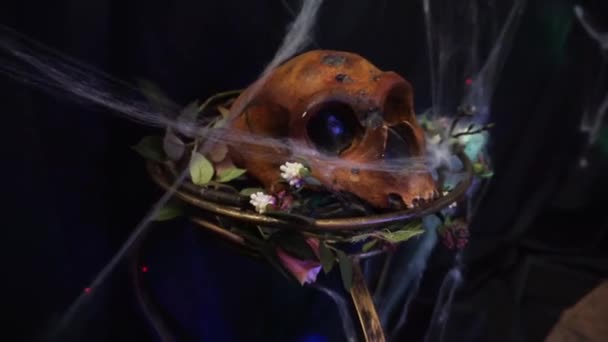 Totenkopf in einem Netz mit Blumen auf schwarzem Hintergrund. Dekorationselement, Halloween — Stockvideo