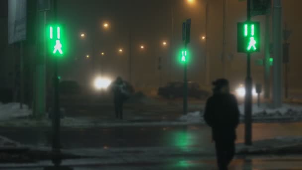 Zamazane, skupić się na sygnalizacji świetlnej miga na zielono i czerwieni na przejściu dla pieszych w nocy miasta. Ludzie przechodzą przez ulicę. Zimą mgła. Odbicie na mokrym asfalcie. Światło reflektorów — Wideo stockowe