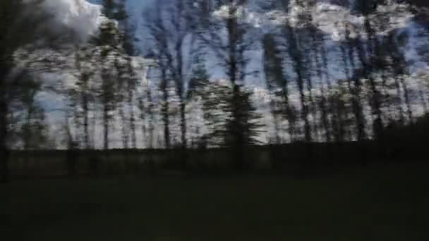 Widok na pole natury i drzewa przez okno boczne samochodu. Samochód jedzie wiejską drogą. Koncepcja podróży. Niebo i chmury. — Wideo stockowe
