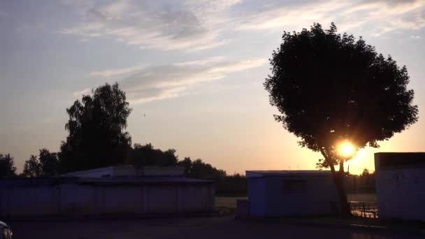 Prachtige ochtend ochtend op de speelplaats in de stad. De oranje zon komt op van achter groene bomen, zomer, achtergrond, landschap — Stockvideo