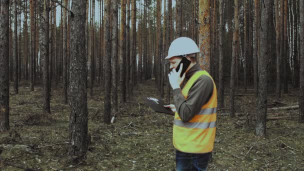 Engineer inspector talking on phone about situation in forest before logging. Boss chief in helmet and vest gestures waving his hands and reprimands or scolds his subordinates. Protection of nature — Stock Video