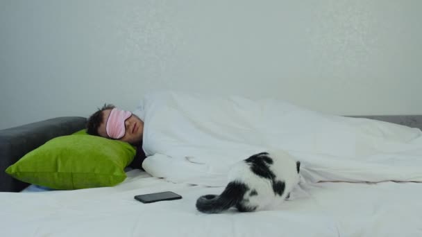 A curious domestic cat sniffs his sleeping master on the bed. A man lies on a bed near him walks a cat, background — Stock Video