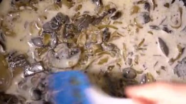 Şampiyon, soğan ve süt kremalı mantar sosu yapıyorum. Lezzetli mantar yemeği, arka plan, yakın plan.