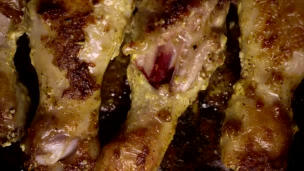 Fet stekt kyckling stekt med majonnäs och kryddor i en kastrull, skräpmat. vaskulär igensättning med kolesterol, åderförkalkning, bakgrund, närbild — Stockvideo
