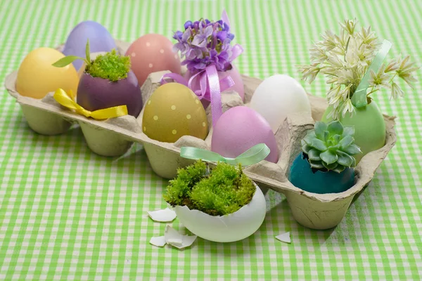 Colorful easter eggs — Stock Photo, Image