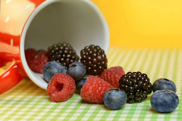 Cup with berries on the table — Stock Photo, Image