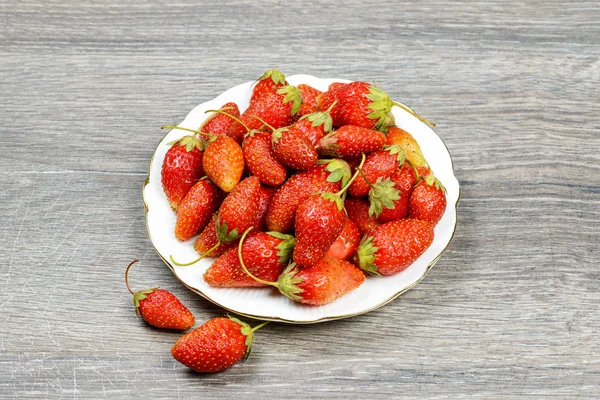 Erdbeere in einem Tablett — Stockfoto