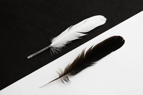 Schwarze und weiße Federn — Stockfoto