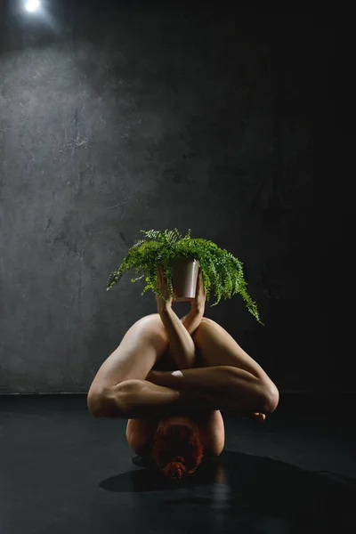 Yoga and plant — Stock fotografie