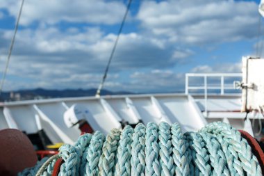 Kargo gemisi şahinleri