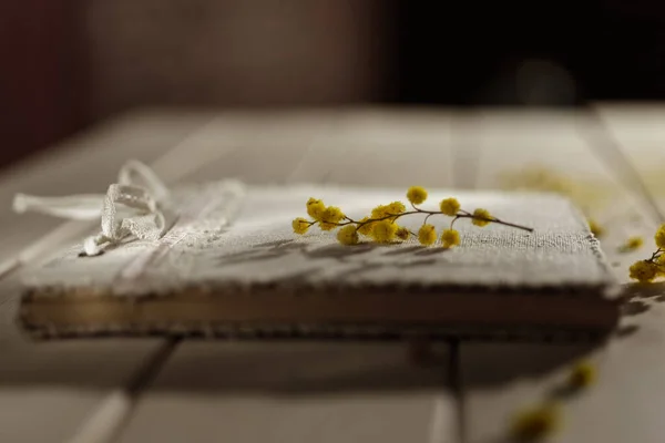 Цветок мимозы на блокноте — стоковое фото