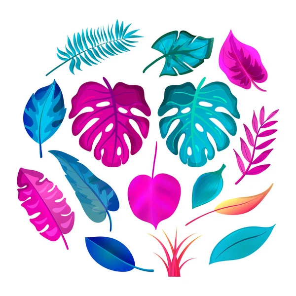 Set van cartoon tropische Palm Leaves — Stockvector