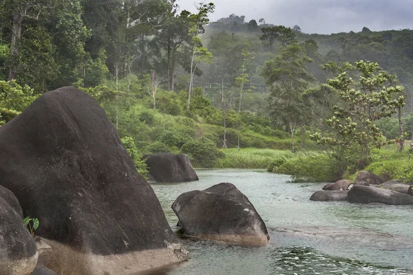 Heavy rain starting over a stream with dark rocks in green misty tropical forest in Thailand during monsoon season
