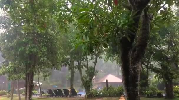Starkregen Und Wind Hotelgarten Während Der Monsunzeit — Stockvideo