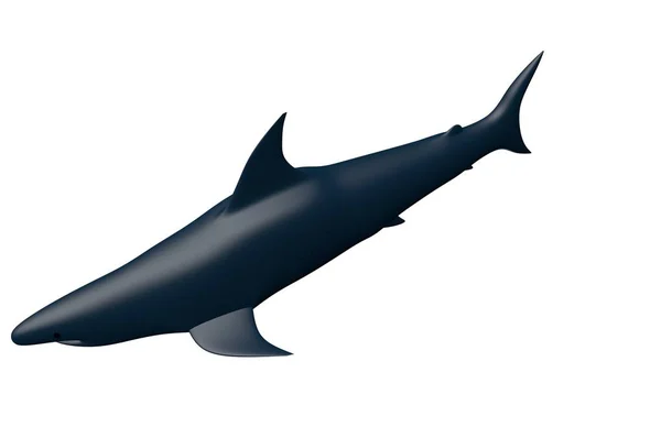 Tubarão Isolado Renderização Branca — Fotografia de Stock