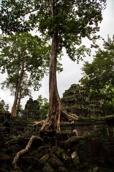 Angkor wat, Kamboçya