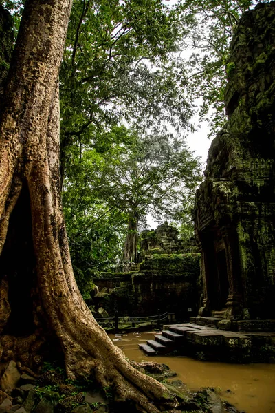Angkor wat, Kamboçya