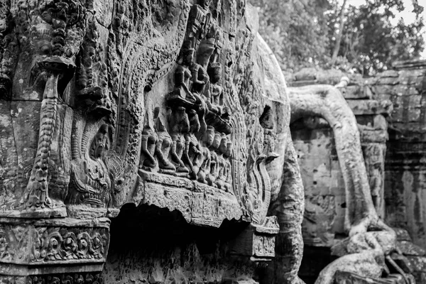 Angkor wat, Kamboçya