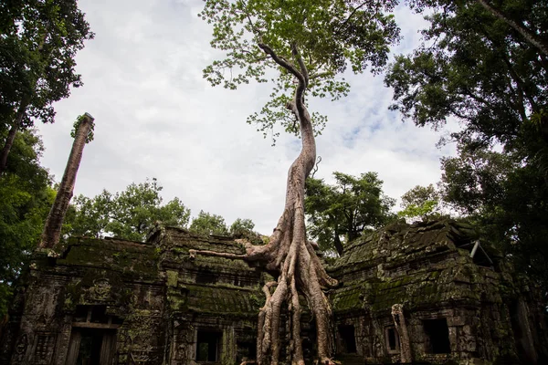 Angkor wat, Kamboçya