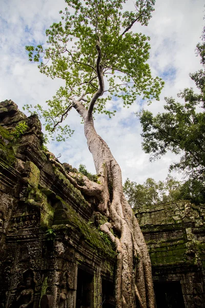 Angkor wat, Kamboçya