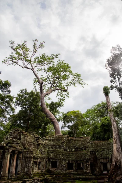 Angkor wat, Kamboçya