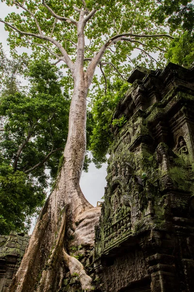 Angkor wat, Kamboçya