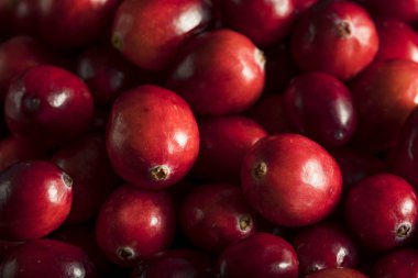 Ham organik kırmızı kızılcık