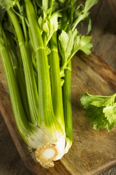 Rauwe biologische groene selderij stengels — Stockfoto