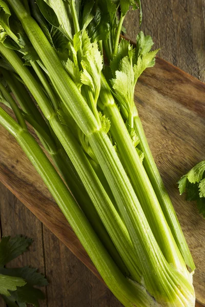 Raw Organic Green Celery Stalks — Stock Photo, Image