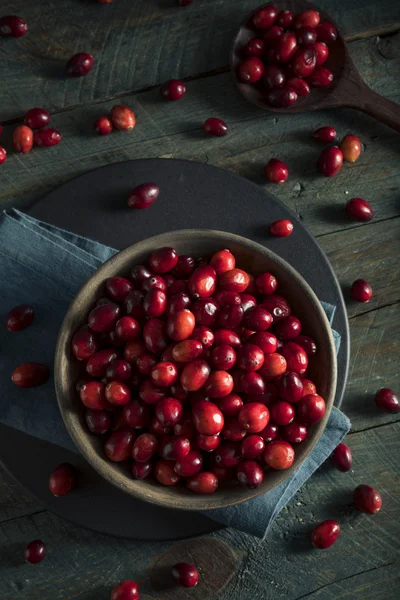 Canneberges rouges biologiques crues — Photo