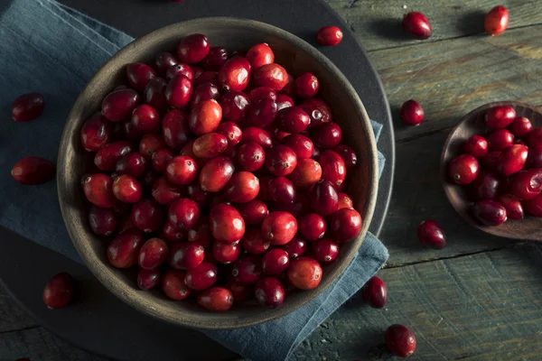 Cranberries vermelhas orgânicas em bruto — Fotografia de Stock