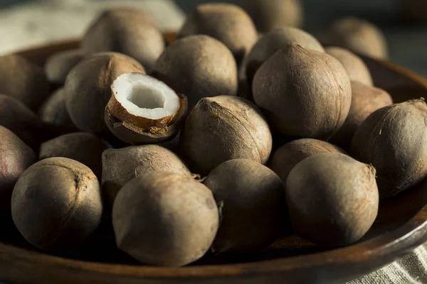 Raw Organic Coconut Coquito Nuts — Stock Photo, Image