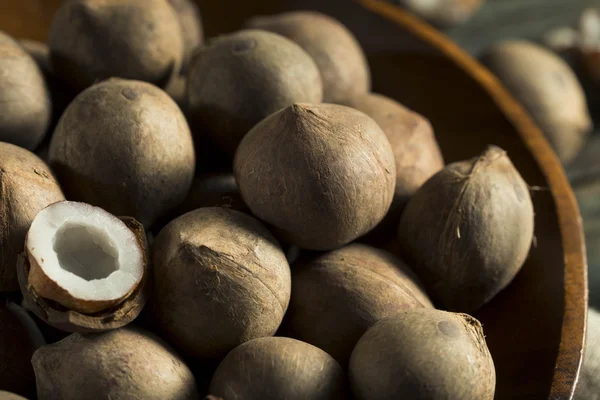 Raw Organic Coconut Coquito Nuts — Stock Photo, Image