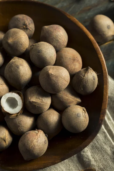 Nyers bio kókusz Coquito dió — Stock Fotó