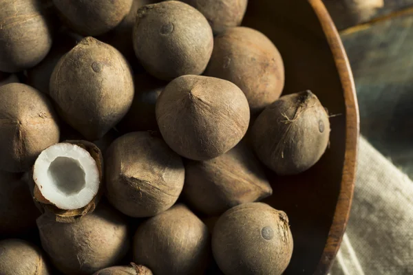 Raw Organic Coconut Coquito Nuts — Stock Photo, Image