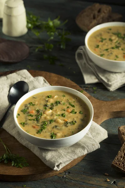 Homemade White Bean Soup — Stock Image Homemade White Bean Soup Stock Photo